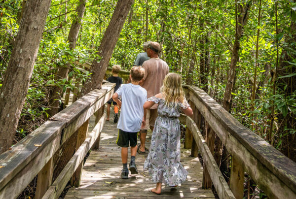 Everglades City Boardwalk Jungle Ervs Airboat Tours