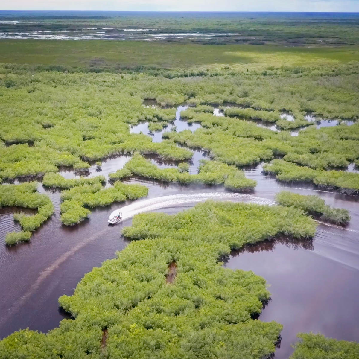 Everglades Mangrove Wilderness